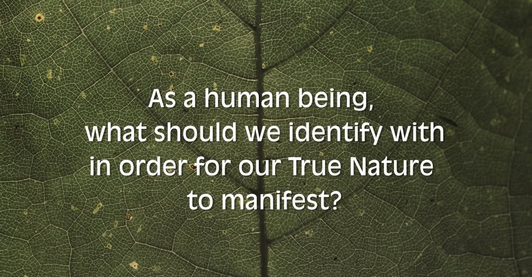 Identification or the Law of life in Ren Xue